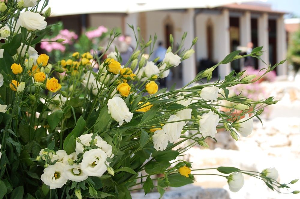 Masseria La Grande Quercia Hotel Mottola Exterior foto